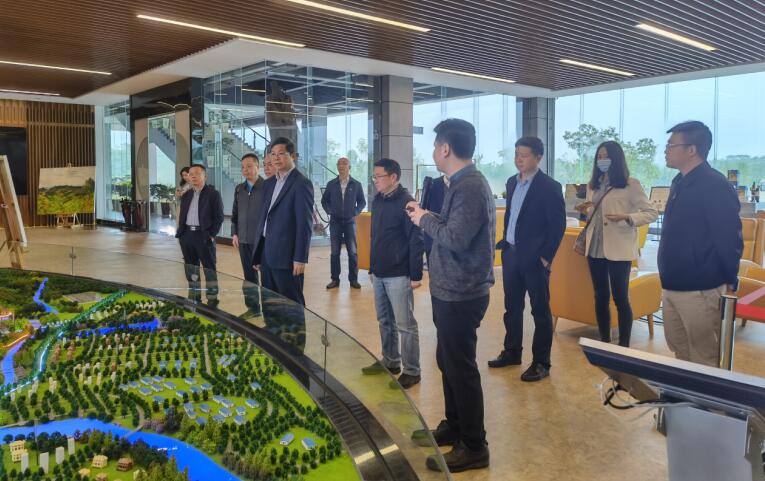 广西旅发集团党委书记、董事长容贤标考察集团文旅项目